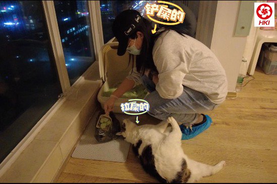 受访者供图
